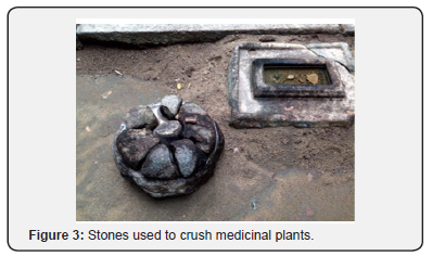 Click here to view Large Figure 3