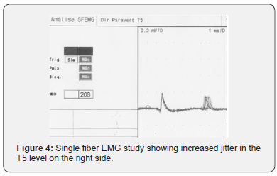 Click here to view Large Figure 4