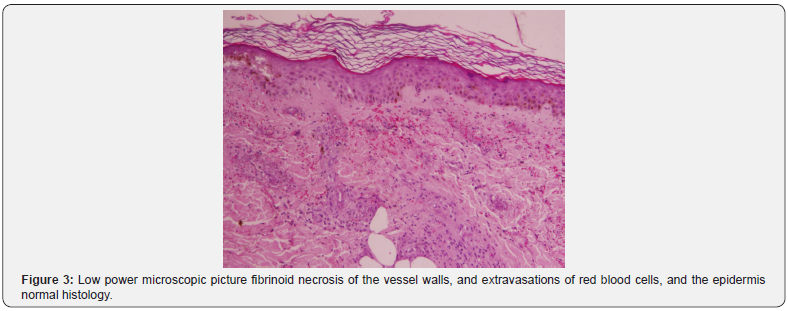 Click here to view Large Figure 3