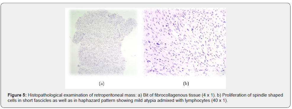 Click here to view Large Figure 5 JOJ Dermatology & Cosmetics