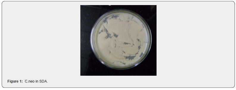 Click here to view Large Figure 1