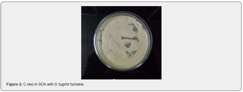 Click here to view Large Figure 2