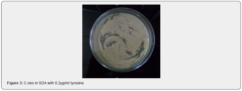 Click here to view Large Figure 3