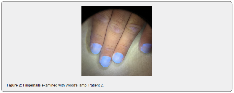 Click here to view Large Figure 2