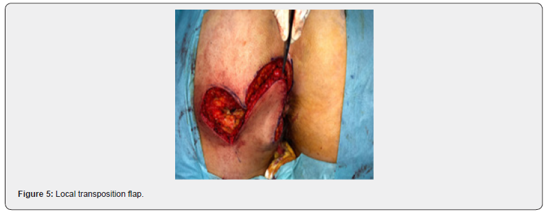 Click here to view Large Figure 5