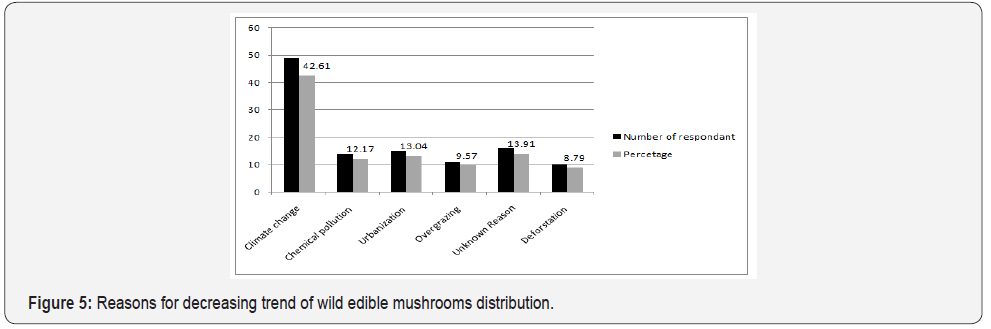 Click here to view Large Figure 5