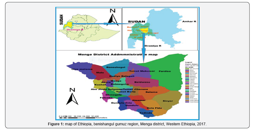 Click here to view Large Figure 1 Insights in Mining Science & Technology