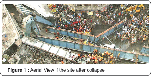 Click here to view Large Figure 1