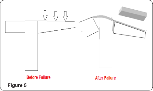 Click here to view Large Figure 5