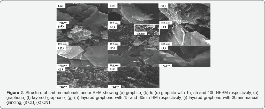 Click here to view Large Figure 2
