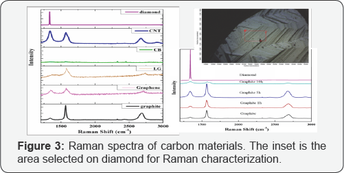 Click here to view Large Figure 3