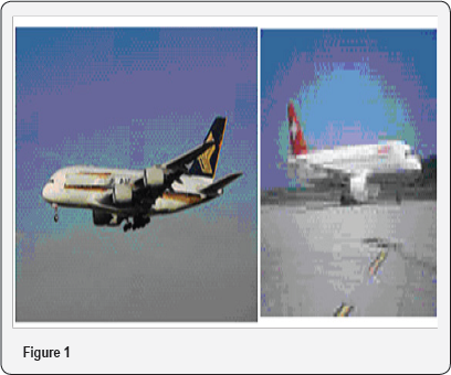 Click here to view Large Figure 1