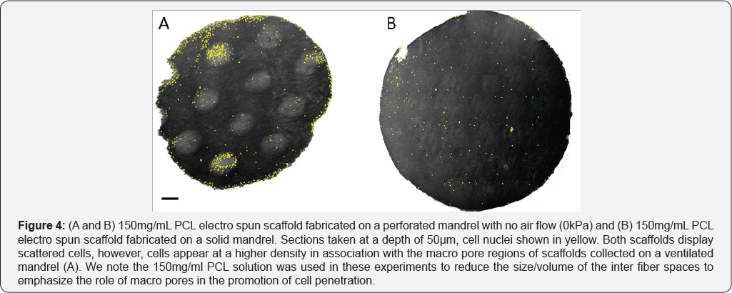 Click here to view Large Figure 4