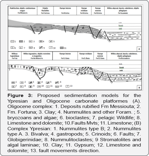 Click here to view Large Figure 3