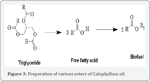 Click here to view Large Figure 3