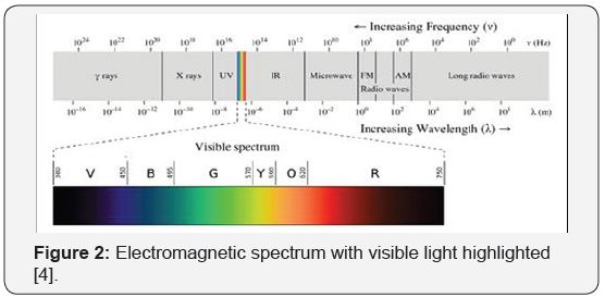 Click here to view Large Figure 2