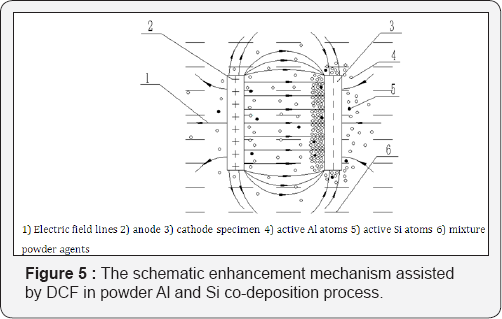 Click here to view Large Figure 5