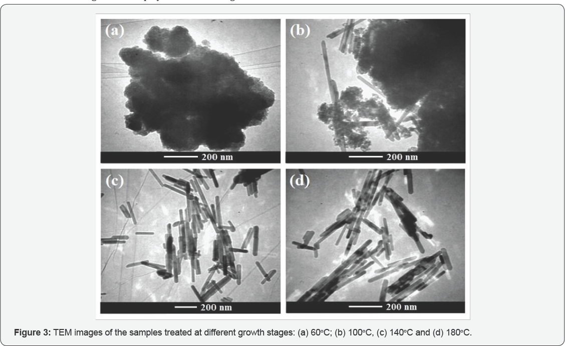 Click here to view Large Figure 3