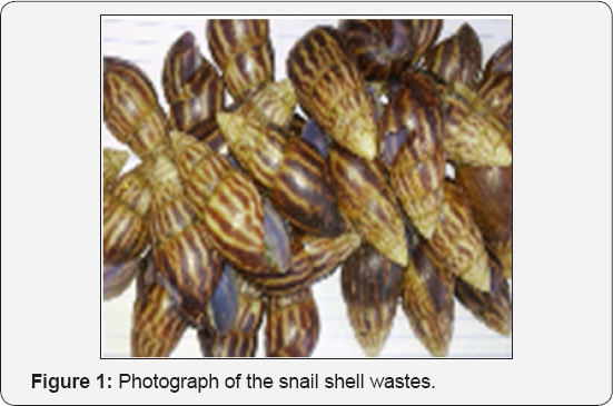 Click here to view Large Figure 1