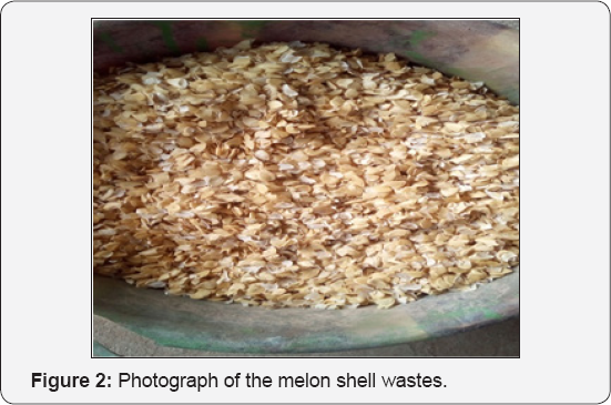 Click here to view Large Figure 1