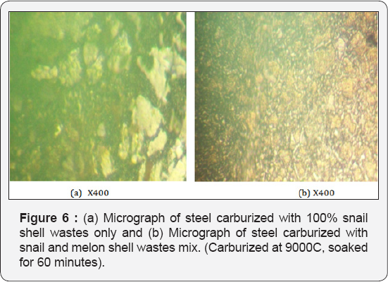 Click here to view Large Figure 14
