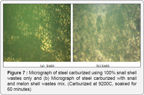 Click here to view Large Figure 15