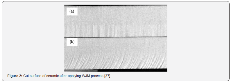 Click here to view Large Figure 2