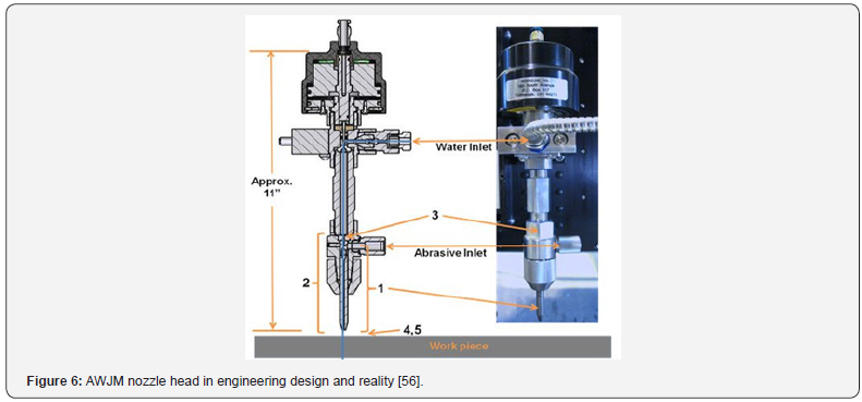 Click here to view Large Figure 6