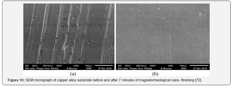 Click here to view Large Figure 10