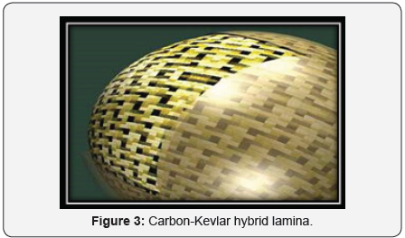 Click here to view Large Figure 3
