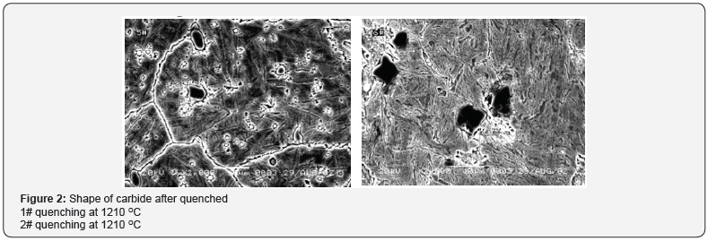 Click here to view Large Figure 2