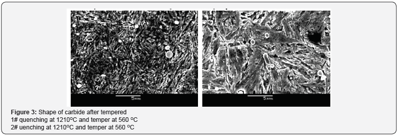 Click here to view Large Figure 3