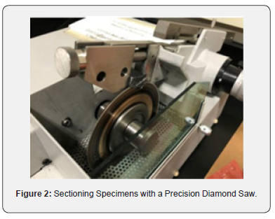 Click here to view Large Figure 2