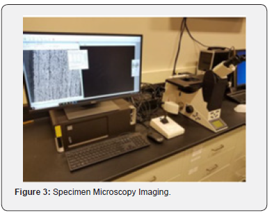 Click here to view Large Figure 3