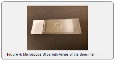 Click here to view Large Figure 4