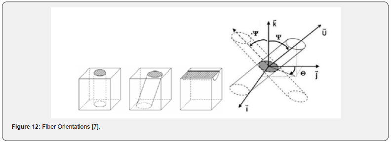 Click here to view Large Figure 12