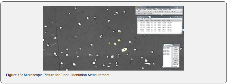 Click here to view Large Figure 13