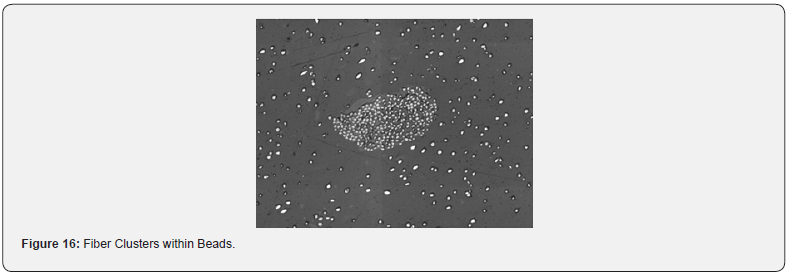 Click here to view Large Figure 16