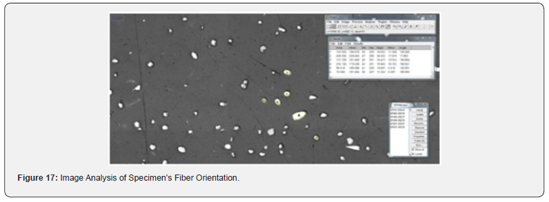 Click here to view Large Figure 17