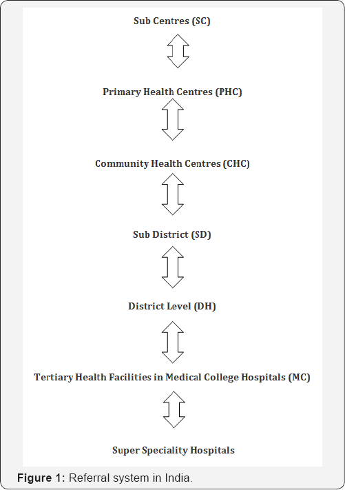 Click here to view Large Figure 1