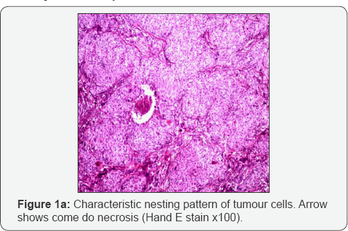 Click here to view Large Figure 1