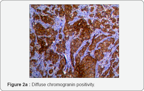 Click here to view Large Figure 1