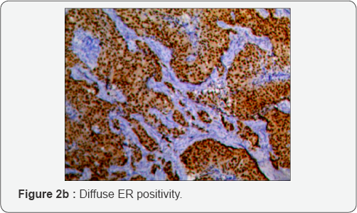 Click here to view Large Figure 1