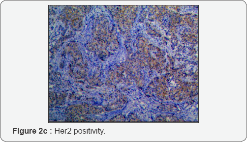 Click here to view Large Figure 1