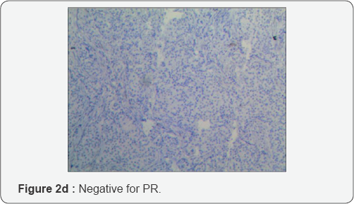 Click here to view Large Figure 1