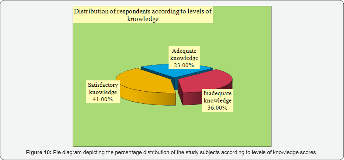 Click here to view Large Figure 10