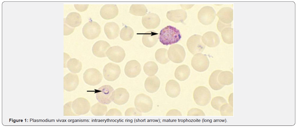 Click here to view Large Figure 1