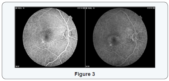 Click here to view Large Figure 3