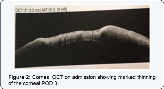 Click here to view Large Figure 2