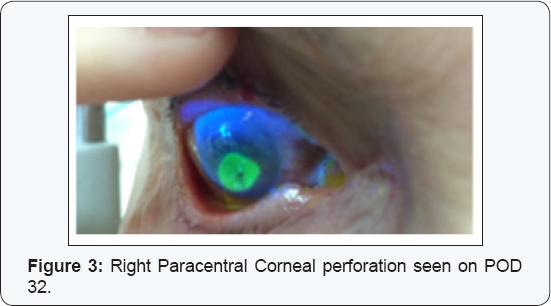 Click here to view Large Figure 3